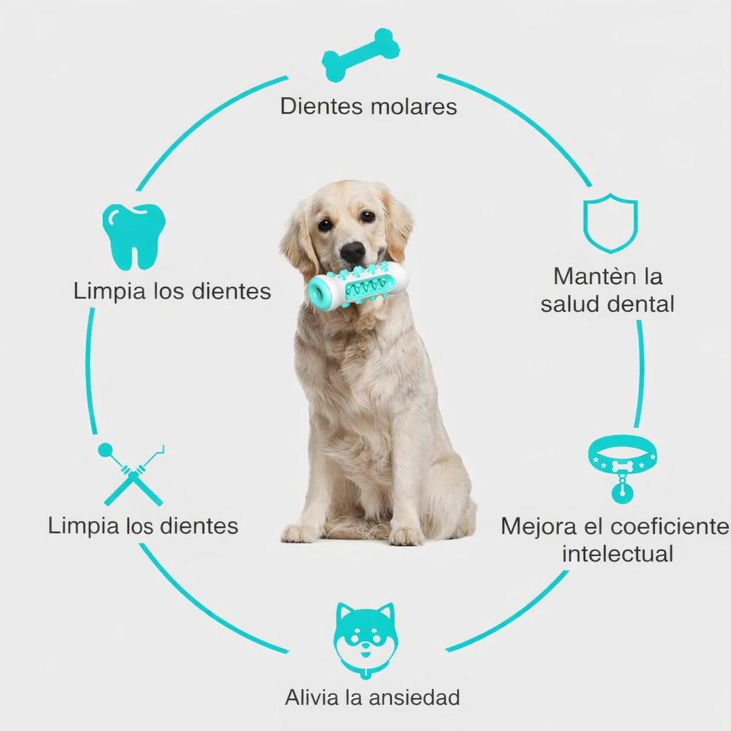 Juguete para Limpiar los Dientes del Perro